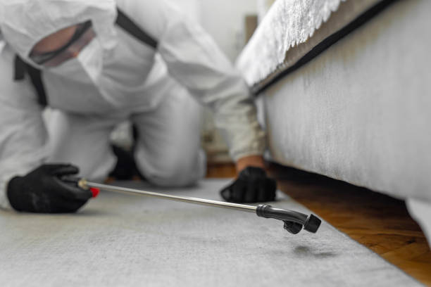 Professional Cockroach Control technician working in Richwood, TX